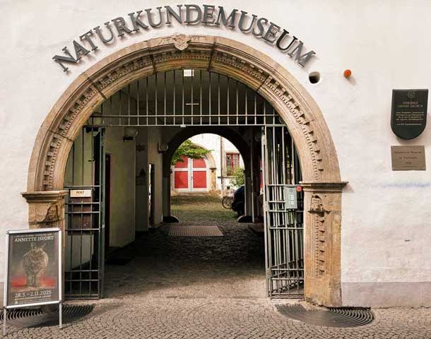 Außenansicht Eingang Naturkundemuseum